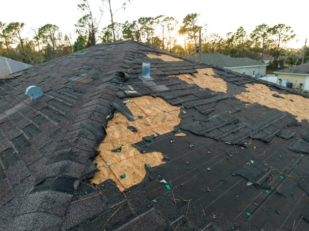 Best Roof Insulation Installation  in Willard, UT